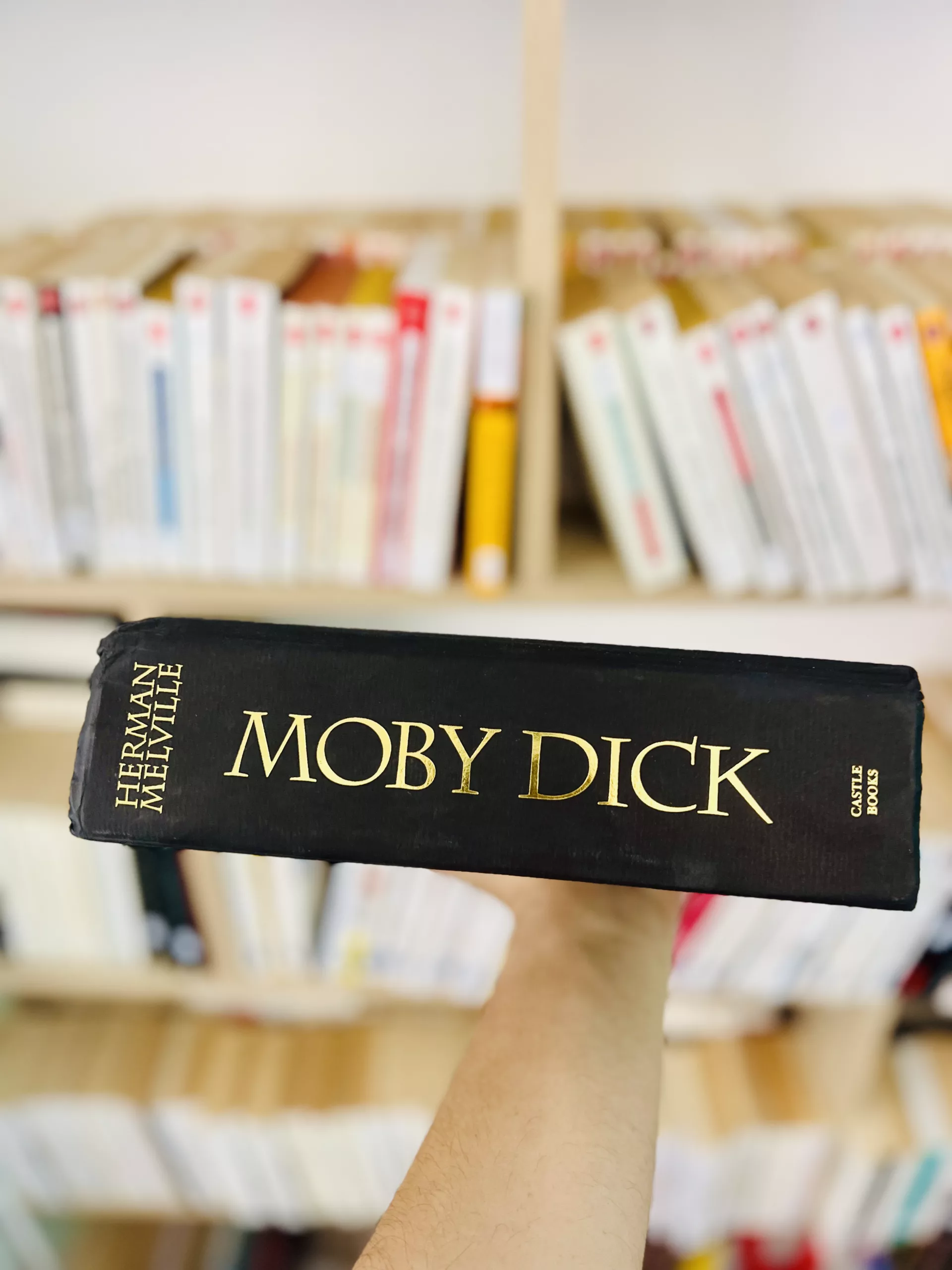 Moby Dick by Herman Melville