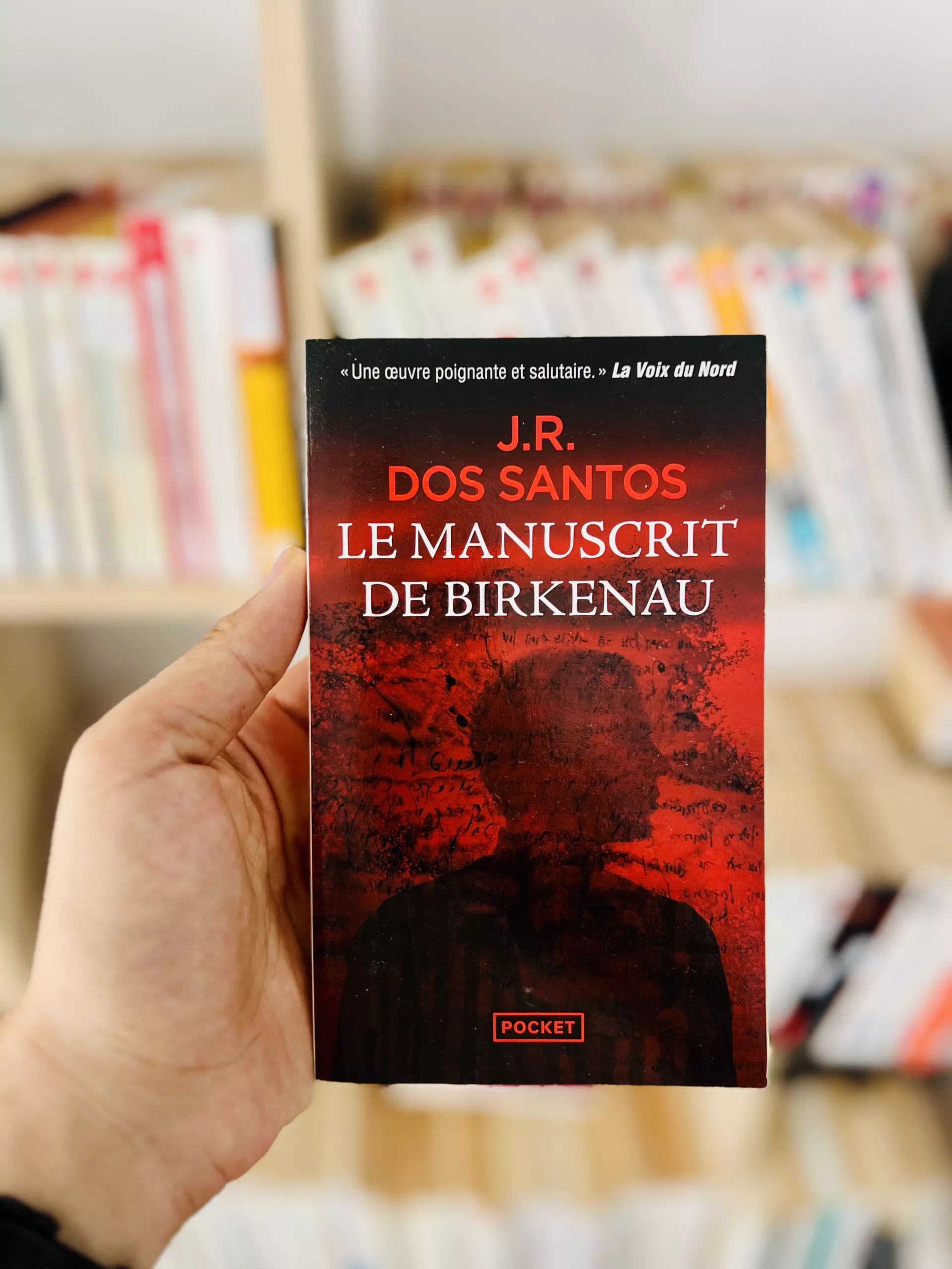 Le Manuscrit de Birkenau de José Rodrigues dos Santos