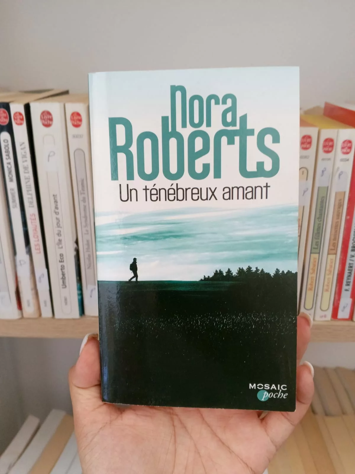 Un ténébreux amant