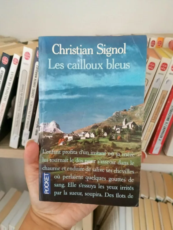 Les cailloux bleus