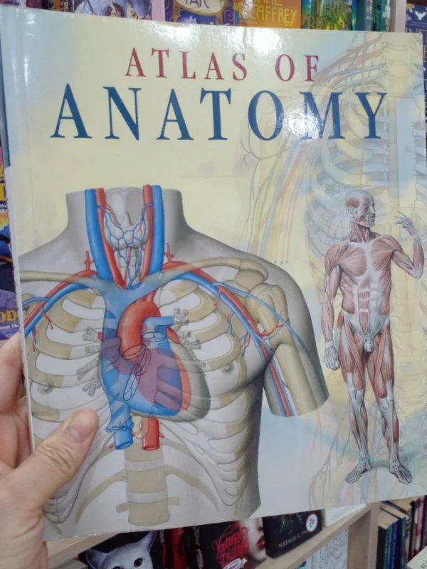 Atlas of Human Anatomy 1 Atlas of Human Anatomy