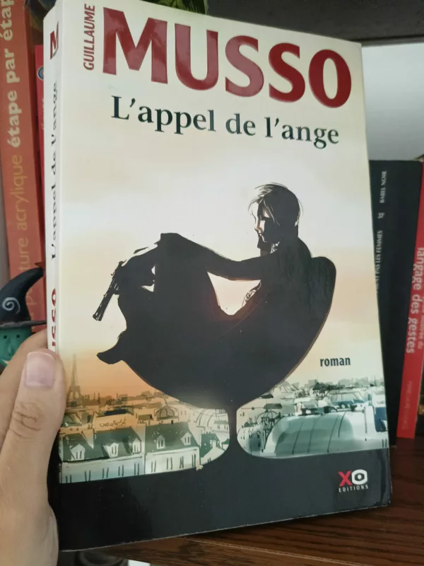 L’appel de l’ange roman