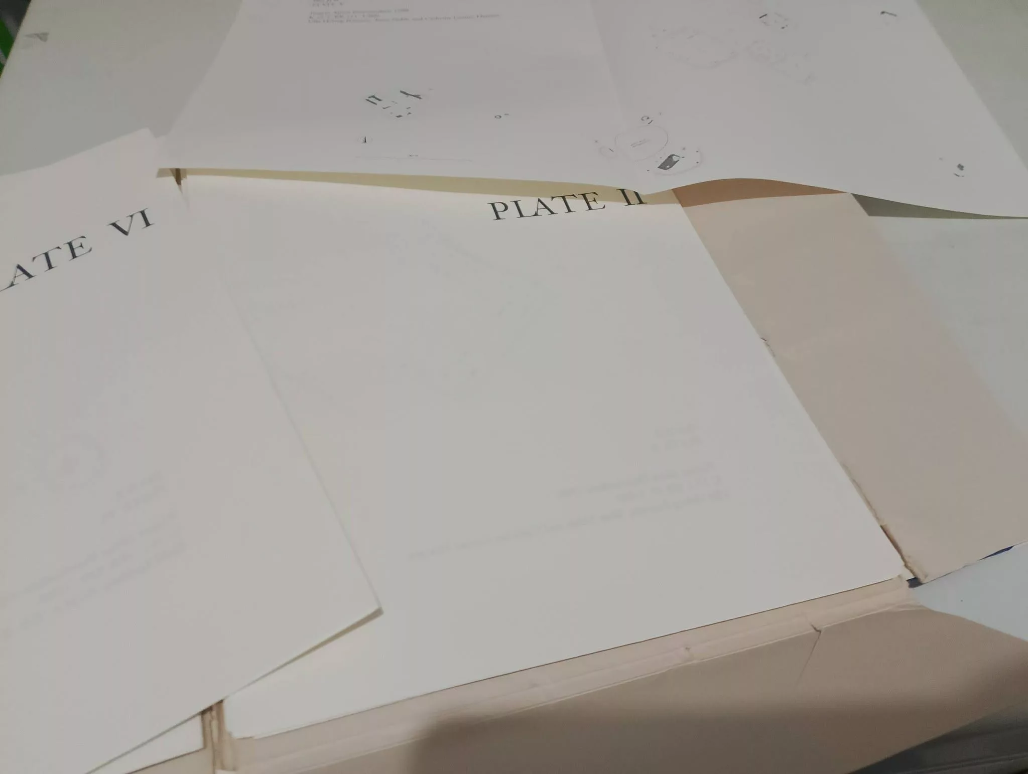 816030244_1662436048921553_7711411920413741934_n