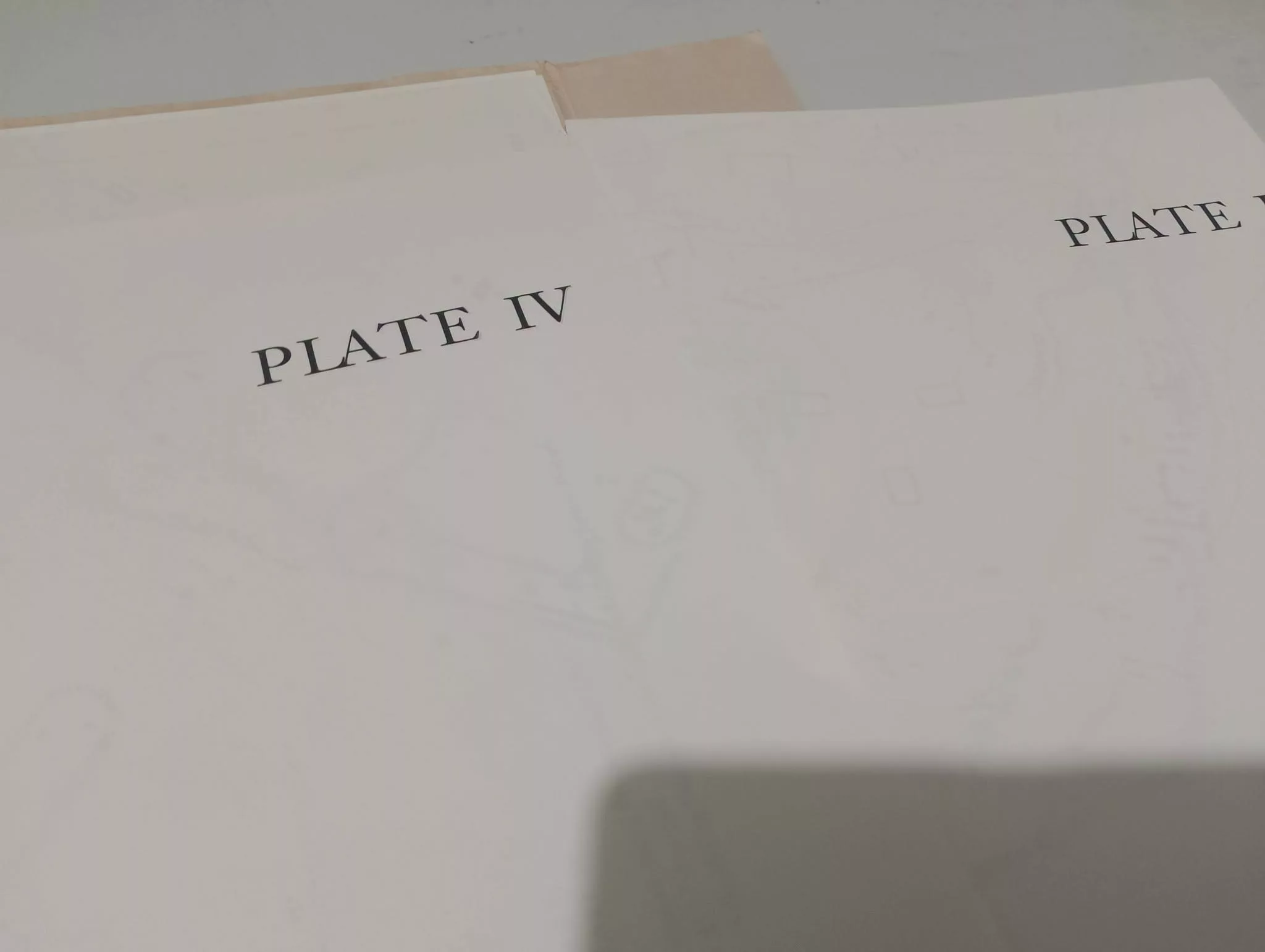 817455830_1574128394512954_2091401888908286587_n