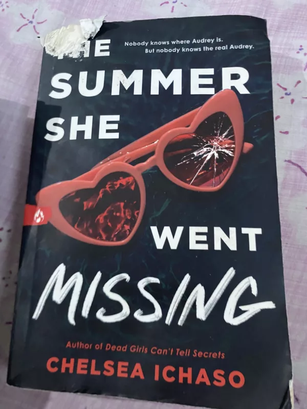 The Summer She Went Missing 1 The Summer She Went Missing