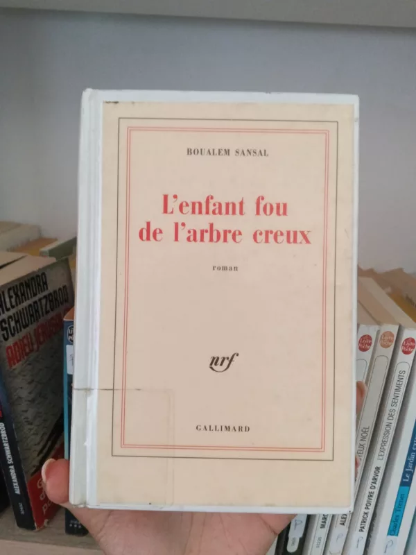 L'enfant fou de l'arbre creux roman 1 L’enfant fou de l’arbre creux roman