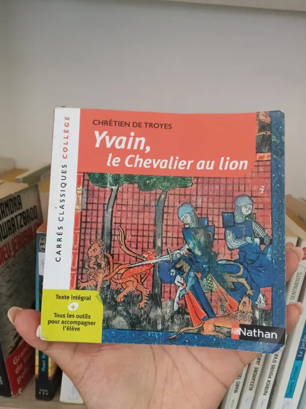 Yvain ou Le chevalier au lion