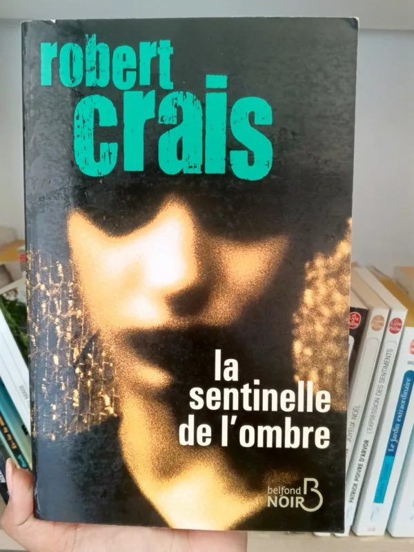 La sentinelle de l’ombre