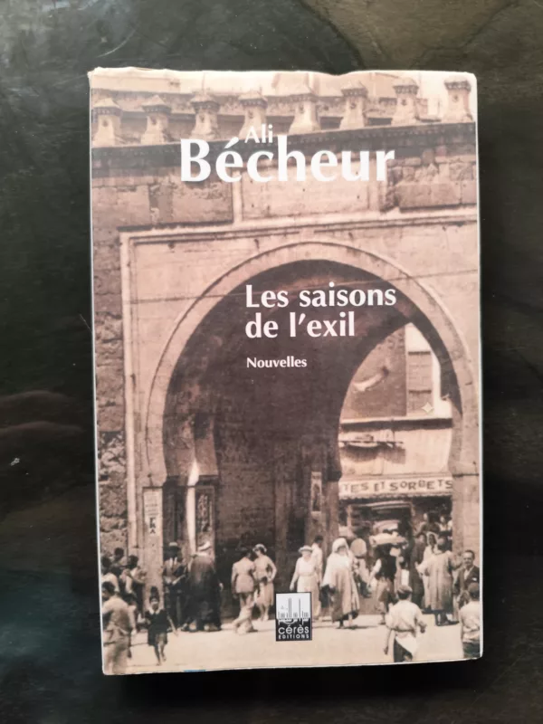Les saisons de l’exil: Nouvelles (French Edition)