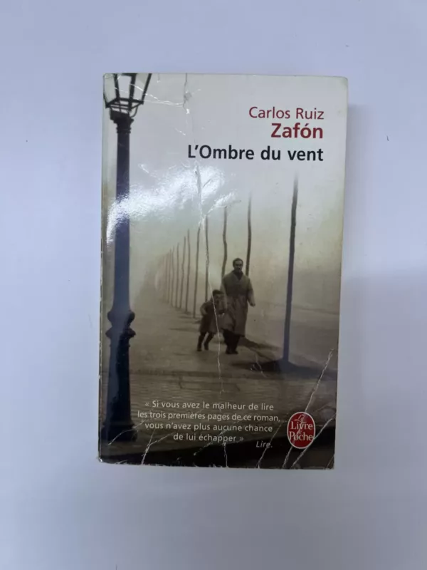 L’ombre du vent roman