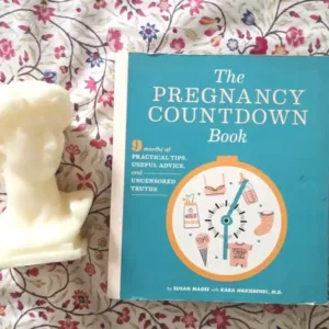 The Pregnancy Countdown Book: Nine Months of Practical Tips, Useful Advice, and Uncensored Truths by Susan Magee