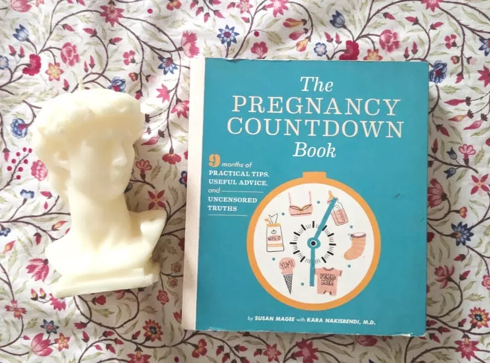 The Pregnancy Countdown Book: Nine Months of Practical Tips, Useful Advice, and Uncensored Truths by Susan Magee