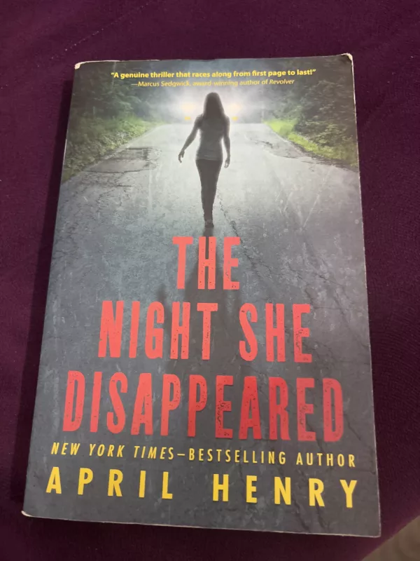 The Night She Disappeared