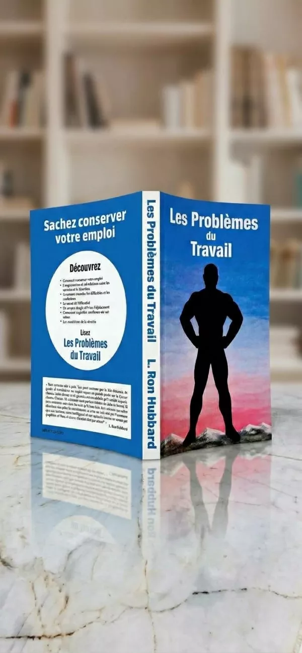 Les problèmes du travail: le maniement des confusions dans le travail quotidien