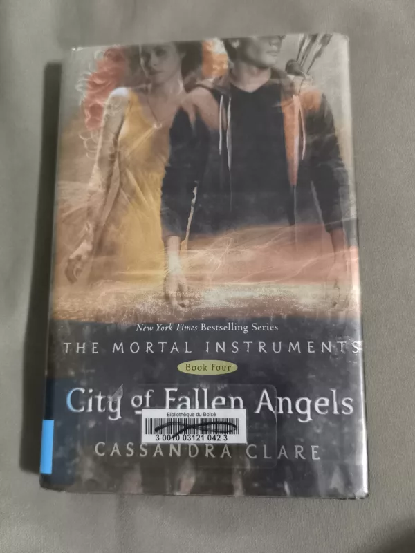 City of Fallen Angels