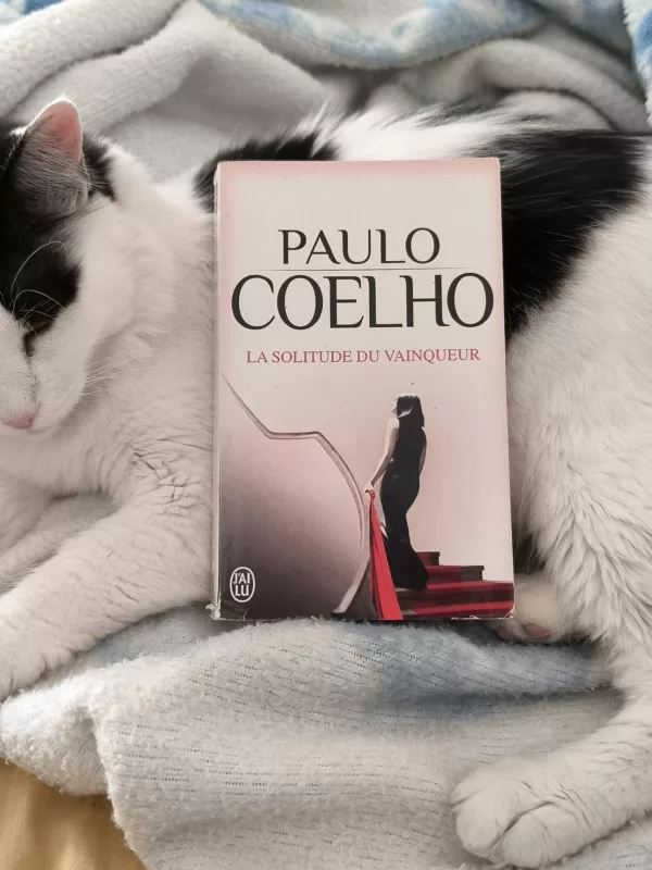 La solitude du vainqueur: roman