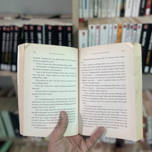 Vampire Academy by Richelle Mead 