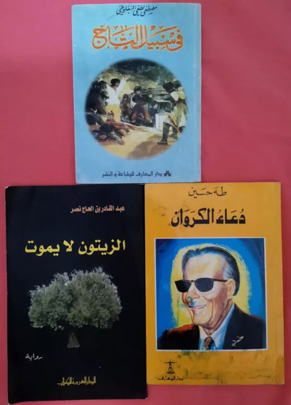 Lot de 3 livres arabes classiques